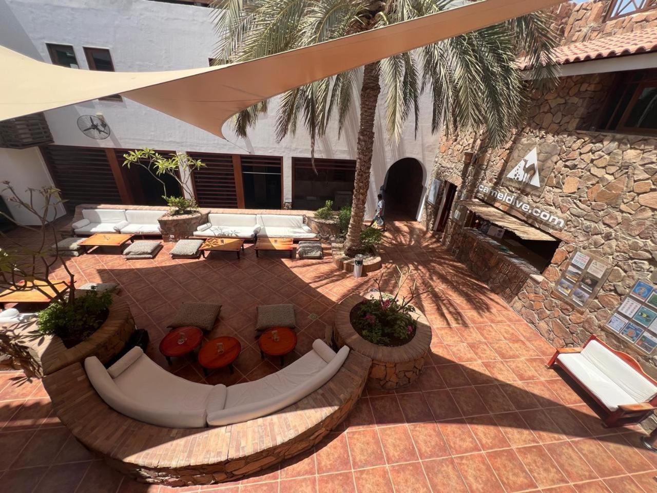 Camel Dive Club & Hotel - Boutique Hotel Sharm el-Sheikh Ngoại thất bức ảnh